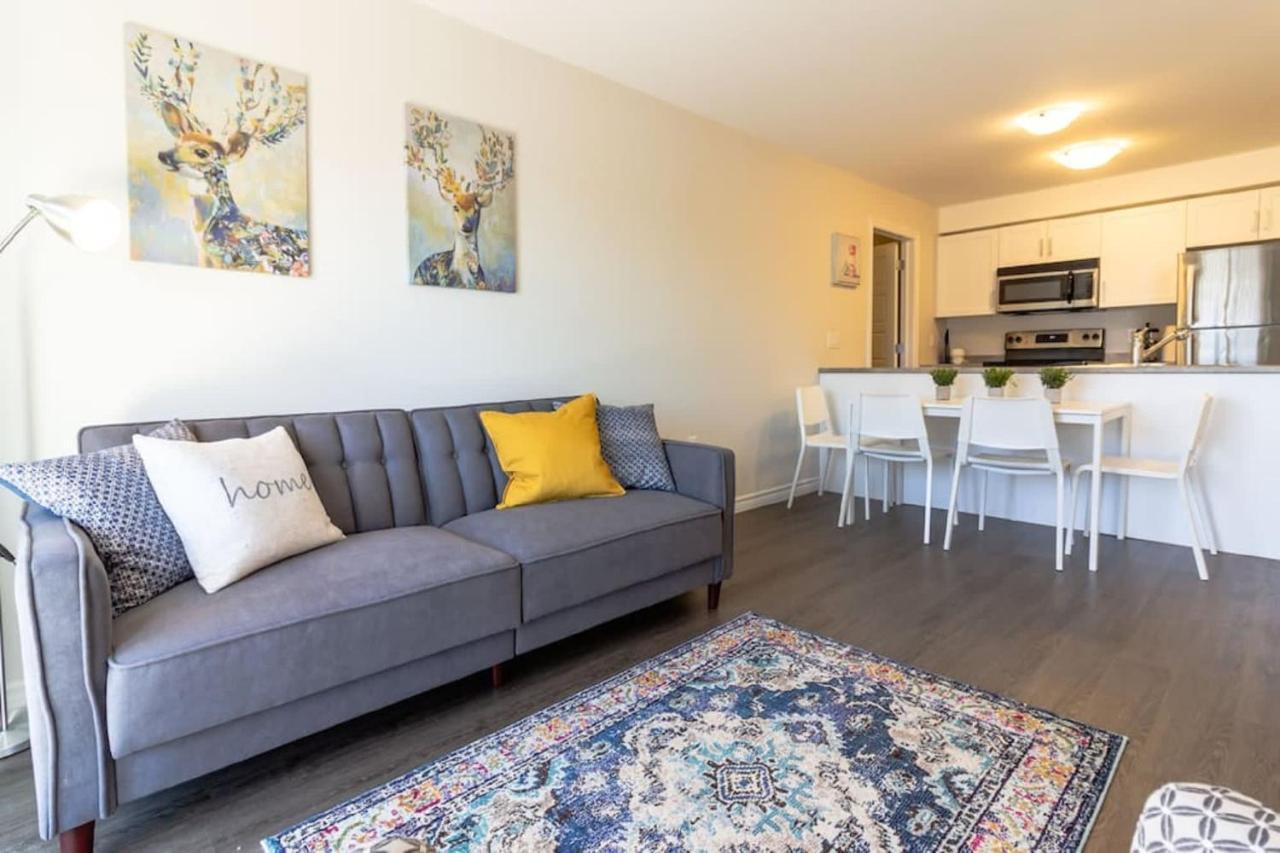 Newly Renovated Modern Condo Near Hospital, Unb Patio & Parking Coffee Saint John Buitenkant foto