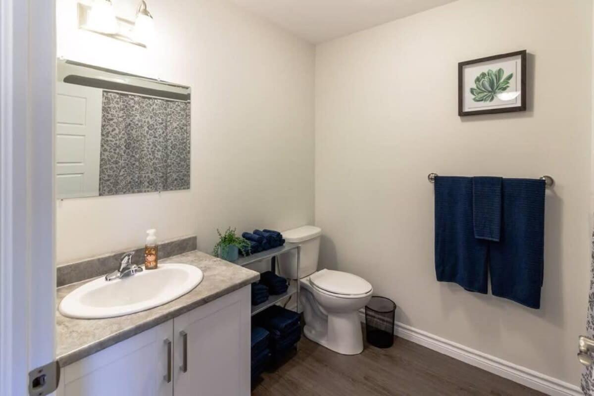 Newly Renovated Modern Condo Near Hospital, Unb Patio & Parking Coffee Saint John Buitenkant foto