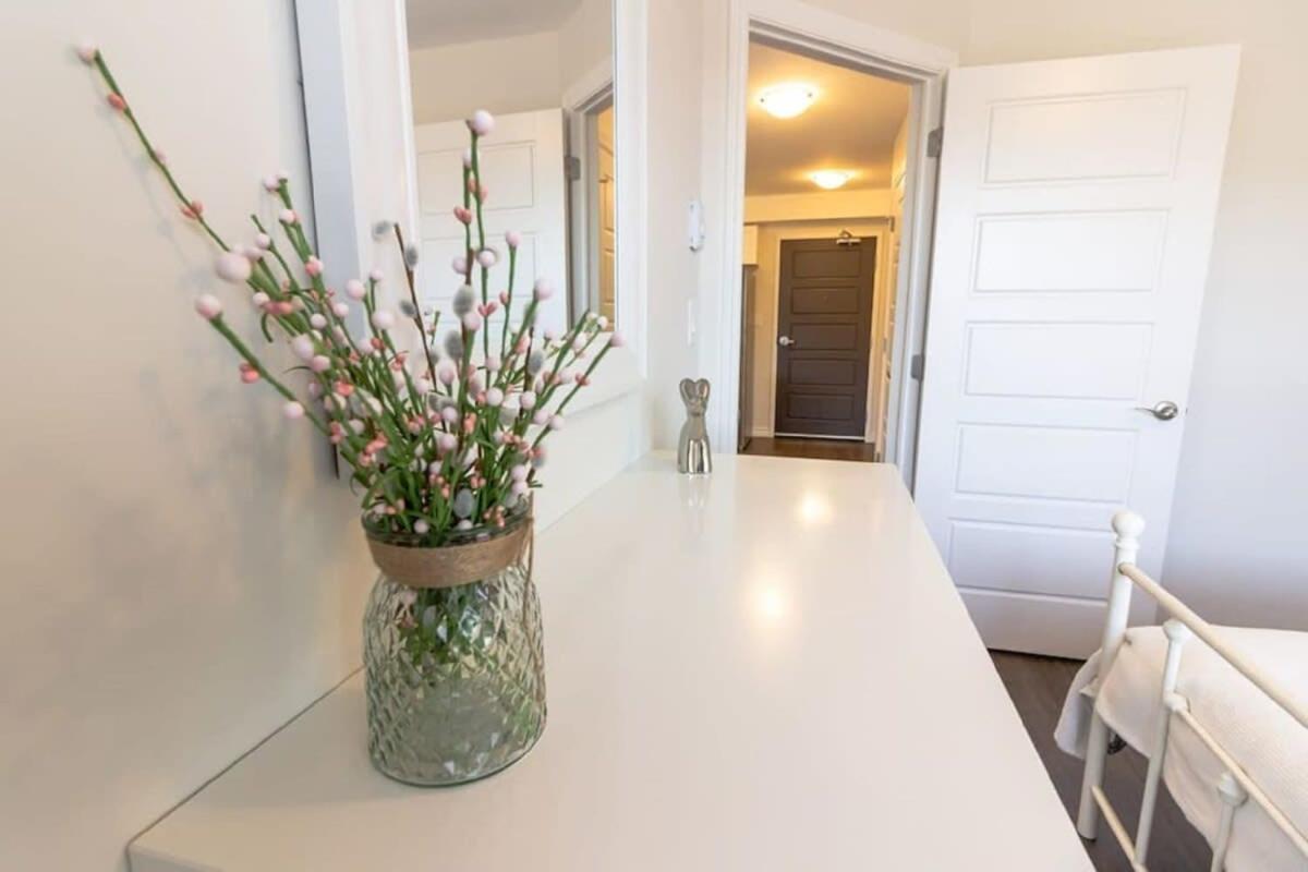 Newly Renovated Modern Condo Near Hospital, Unb Patio & Parking Coffee Saint John Buitenkant foto